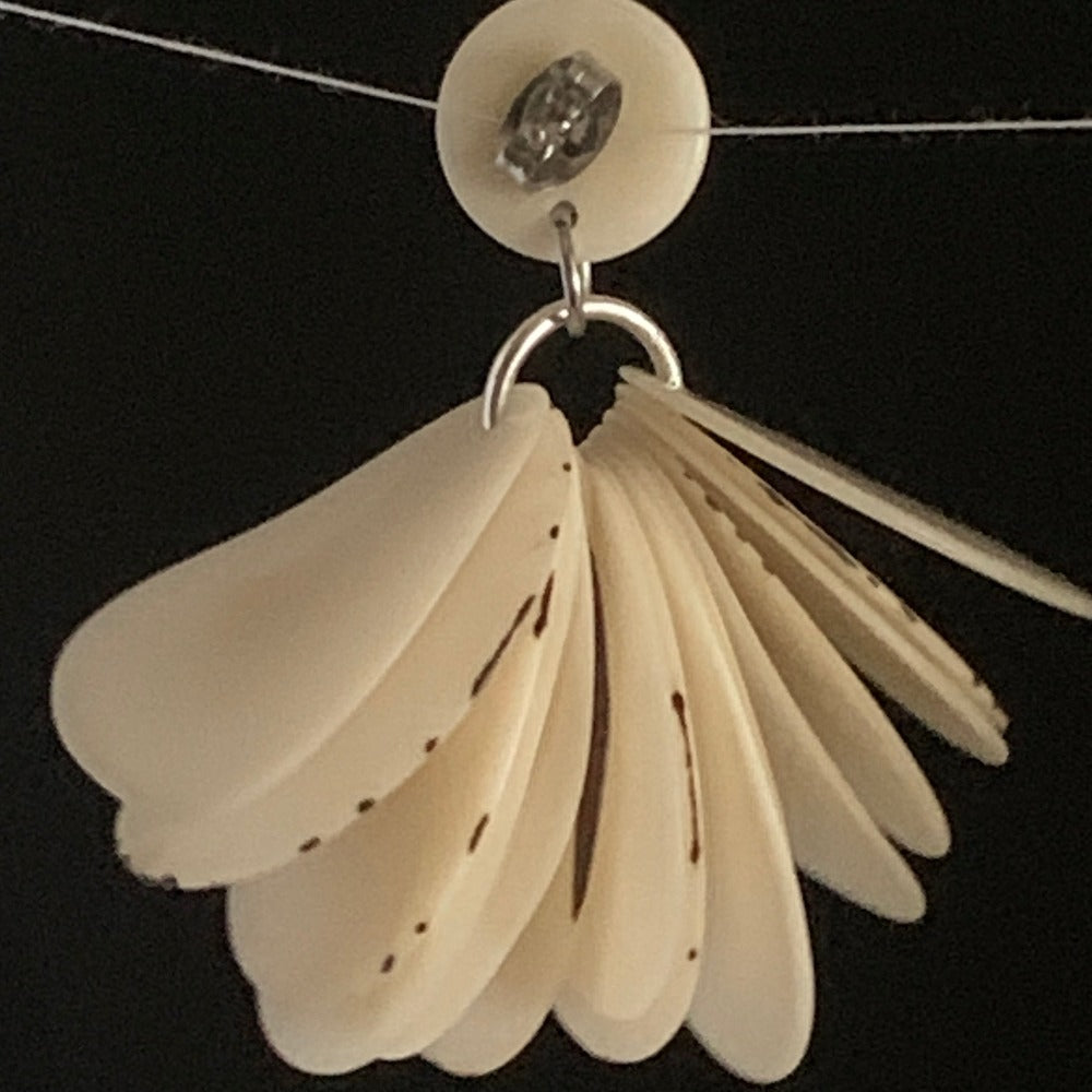 Tons of Tagua Petals
